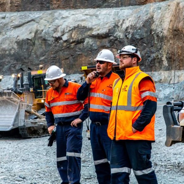 Mining Business Evolution.